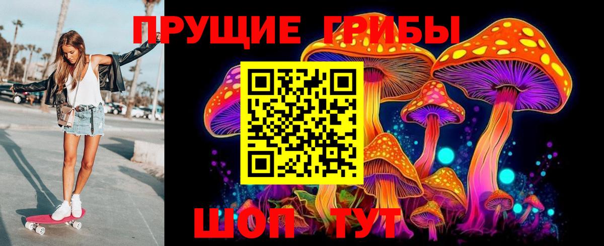 Псилоцибиновые грибы Psilocybe Лиски
